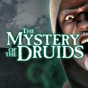The Mystery of the Druids PC Steam CD Key