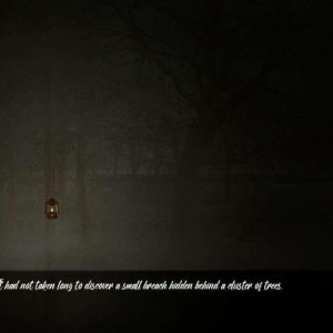 Sorry. (Entschuldigung) Steam CD Key